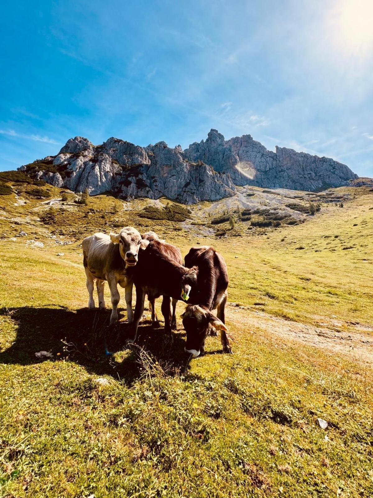 Appartement Stubihuettn à Sonnenalpe Nassfeld Extérieur photo